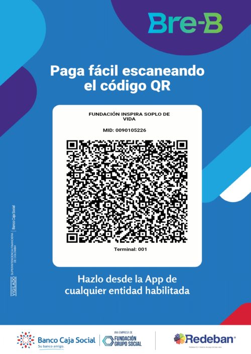 qr pagos page 0001